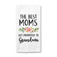 Promoted to Grandma Kitchen Towel, Grandma Dish Towel